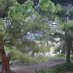 Del Vescovo 4* Cefalu